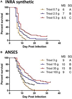 The <mark class="highlighted">Viral Hemorrhagic Septicemia Virus (VHSV)</mark> Markers of Virulence in Rainbow Trout (Oncorhynchus mykiss)